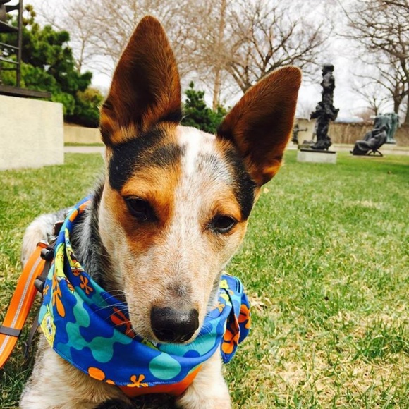 Meet your Posher, Jessica - Picture 4 of 8